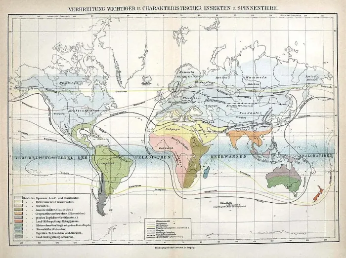 Framed Print : Insects, Map of the distribution of important and characteristic insects and arachnids on earth