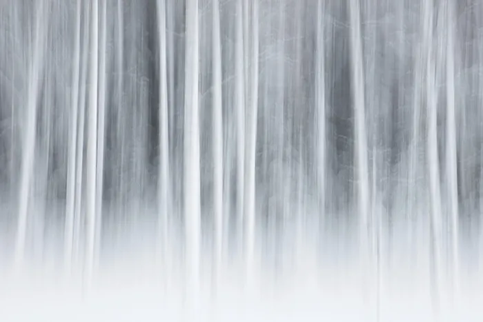 Framed Print : Intentional camera movement (ICM)