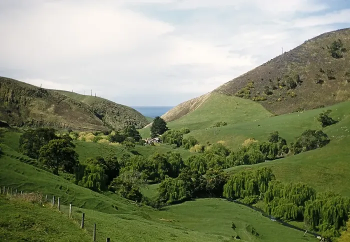 Framed Print : Interlocking foothills of the steep V-shaped river valley of Wild Dog Creek near Apollo Bay, Victoria, Australia, 1956, Oceania Framed Print : Interlocking foothills of the steep V-shaped river valley of Wild Dog Creek near Apollo Bay, Victoria, Australia, 1956, Oceania