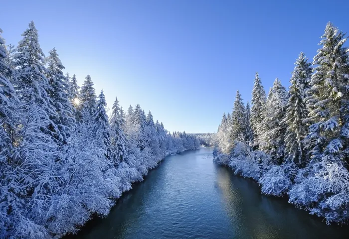 Framed Print : Isar, Nature reserve Isarauen in winter