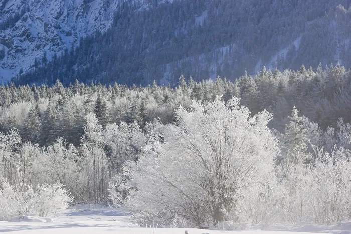 Framed Print : Isar valley in winter at temperatures of minus 18 degrees Celsius