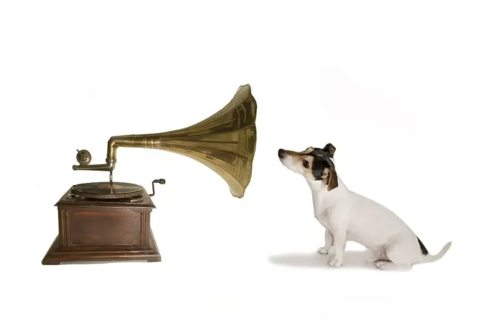 Framed Print : Jack Russell with gramophone, parody on His Masters voice