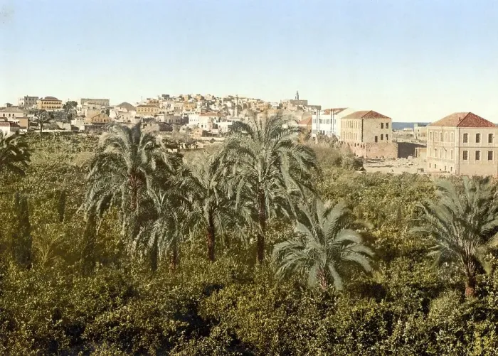 Framed Print : Jaffa, seen from the garden, Holy Land Framed Print : Jaffa, seen from the garden, Holy Land