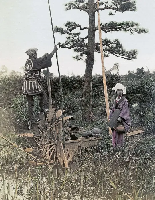 Framed Print : Japanese farmers, Japan, Asia