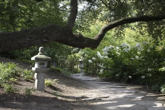 Framed Print : Japanese garden