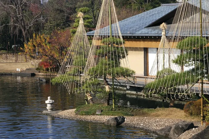 Framed Print : Japanese garden background with pond