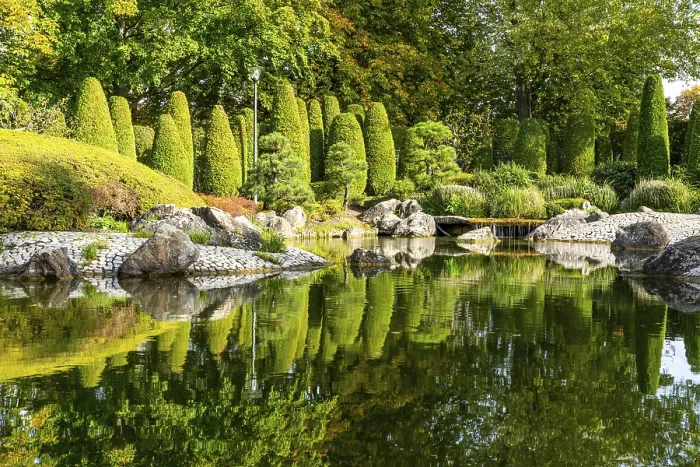 Framed Print : Japanese garden in the Rhine meadows