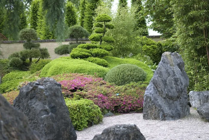 Framed Print : Japanese garden (Rhododendron obtusum) Framed Print : Japanese garden (Rhododendron obtusum)