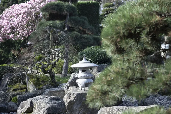 Framed Print : Japanese garden with statues, Freiburg Framed Print : Japanese garden with statues, Freiburg