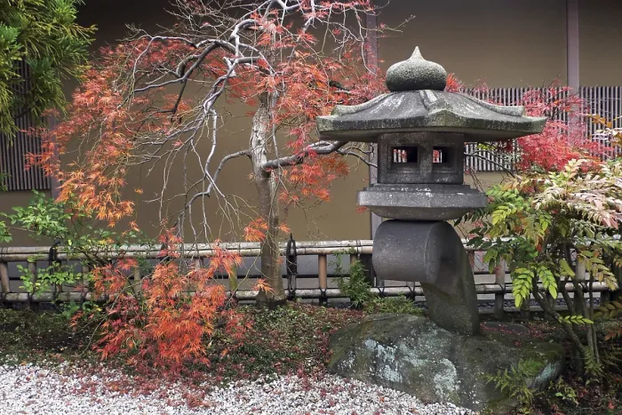 Framed Print : Japanese lantern and autumnal maple tree - momiji