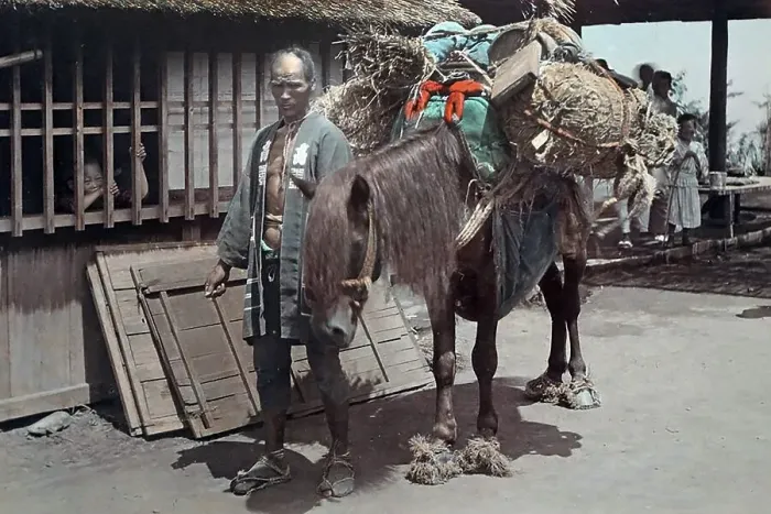 Framed Print : Japanese man with transport horse, Japan, Asia