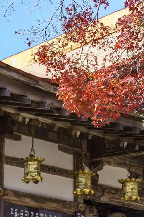 Framed Print : Japanese temple with red maple leaves and ornate lanterns Framed Print : Japanese temple with red maple leaves and ornate lanterns