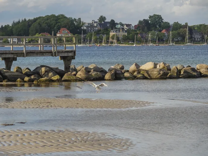 Framed Print : A jetty leads into the water, seagulls fly over the calm lake