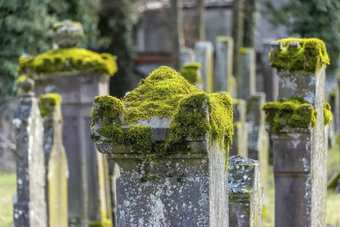 Framed Print : Jewish cemetery with gravestones and grave slabs with green moss