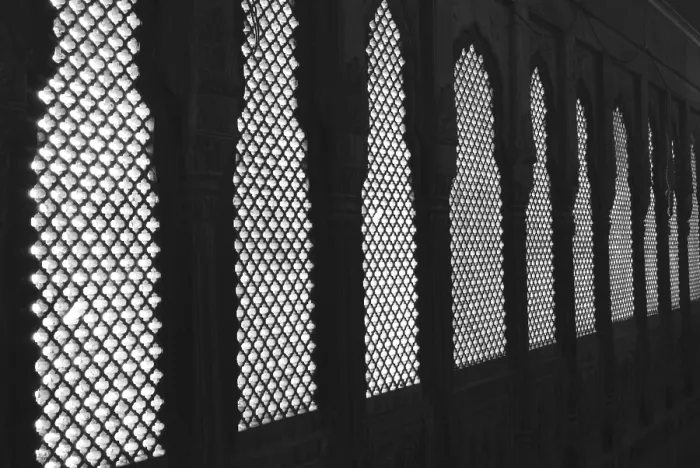 Framed Print : Jharokhas of gallery inside Junagarh fort