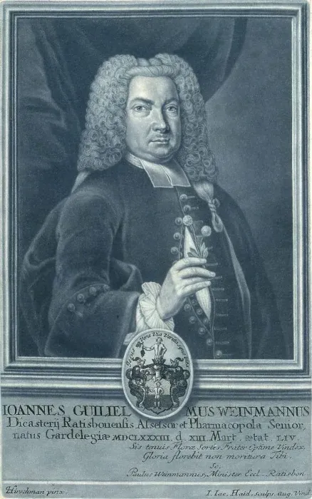 Framed Print : Johann Wilhelm Weinmann, 1683 to 1741