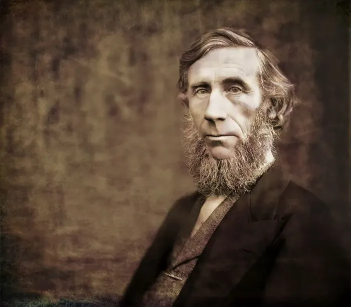 Framed Print : John Tyndall, 1820 -1893, Irish physicist and chemist Framed Print : John Tyndall, 1820 -1893, Irish physicist and chemist