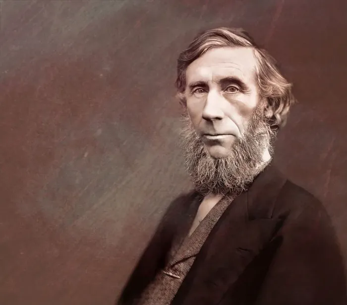 Framed Print : John Tyndall, 1820 -1893, Irish physicist and chemist Framed Print : John Tyndall, 1820 -1893, Irish physicist and chemist