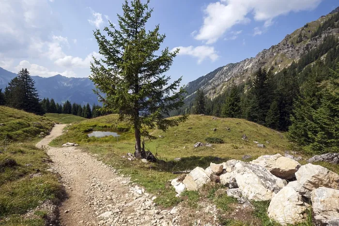 Framed Print : Jubilee trail in the mountain landscape of the Allgaeu Alps