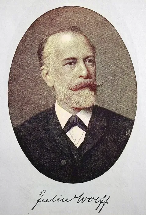 Framed Print : Julius Wolff, 16 September 1834 - 3 June 1910