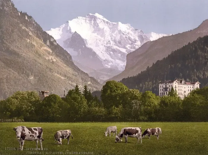 Framed Print : Jungfrau und Jungfraublick Hotel