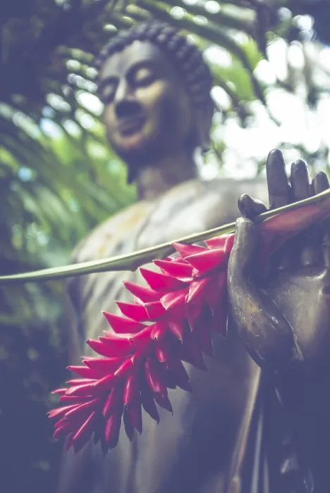 Framed Print : Jungle Buddha Statue With A Red Ginger Flower In His Hand