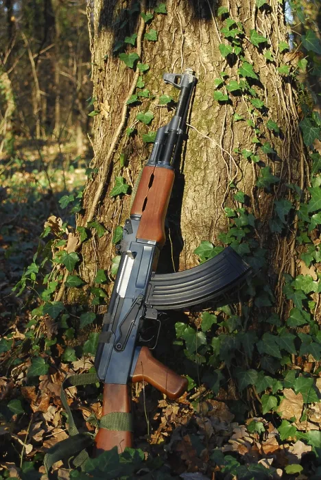 Framed Print : A kalashnikov rifle leaning against a tree in a forest