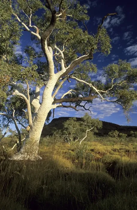 Framed Print : Karijini National Park, Hamersley Range, Pilbara