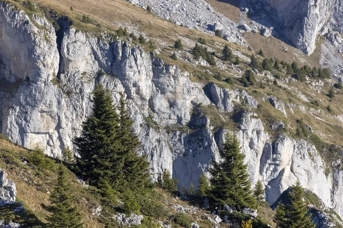 Framed Print : Karst cliffs climbing to the Tour de Mayen