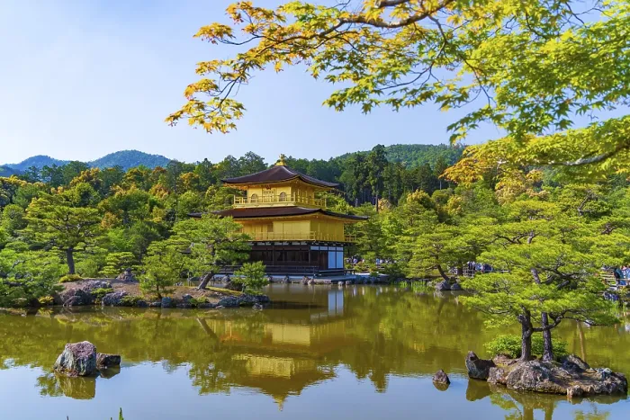 Framed Print : Kinkakuji, Temple of the Golden Pavilion