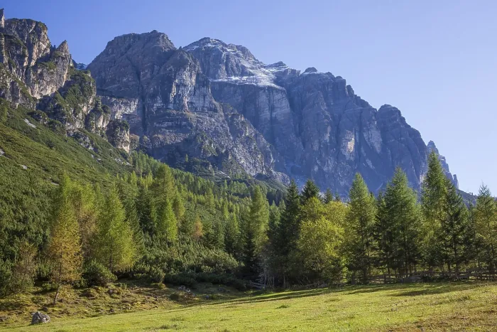 Framed Print : Kirchdachspitze mountain and forest in autumn