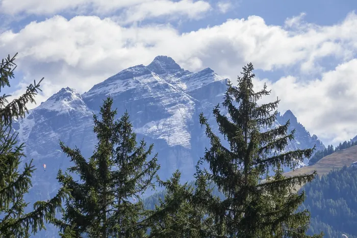 Framed Print : Kirchdachspitze mountain with forest and trees in autumn Framed Print : Kirchdachspitze mountain with forest and trees in autumn