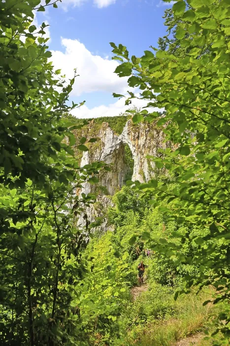 Framed Print : The Kissing Sau, a rock seen through trees