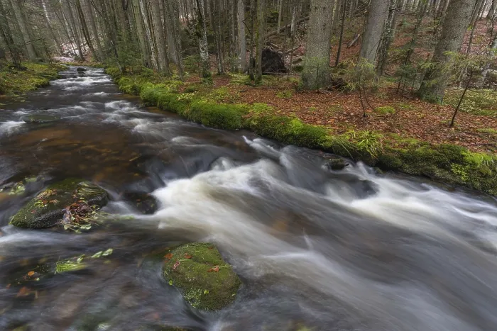 Framed Print : Kleine Ohe creek below Waldhaeuser village in the Bavarian Forest Nationalpark Framed Print : Kleine Ohe creek below Waldhaeuser village in the Bavarian Forest Nationalpark