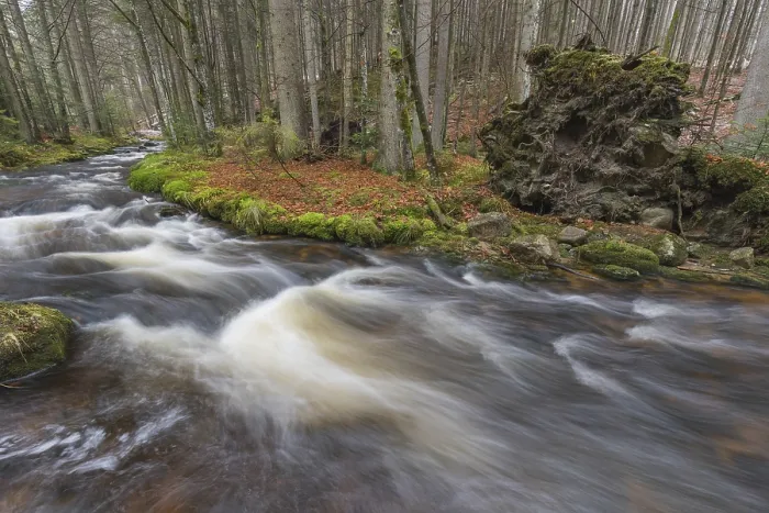 Framed Print : Kleine Ohe creek below Waldhaeuser village in the Bavarian Forest Nationalpark