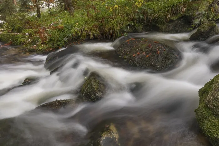 Framed Print : Kleine Ohe creek below Waldhaeuser village in the Bavarian Forest Nationalpark Framed Print : Kleine Ohe creek below Waldhaeuser village in the Bavarian Forest Nationalpark