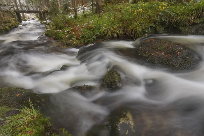 Framed Print : Kleine Ohe creek below Waldhaeuser village in the Bavarian Forest Nationalpark