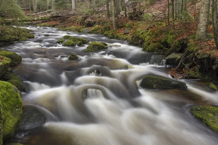 Framed Print : Kleine Ohe creek below Waldhaeuser village in the Bavarian Forest Nationalpark Framed Print : Kleine Ohe creek below Waldhaeuser village in the Bavarian Forest Nationalpark