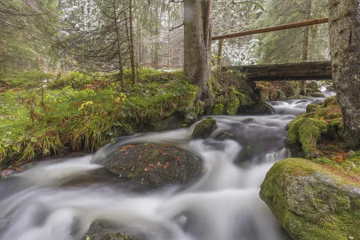 Framed Print : Kleine Ohe creek below Waldhaeuser village in the Bavarian Forest Nationalpark