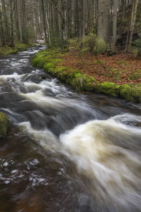 Framed Print : Kleine Ohe creek below Waldhaeuser village in the Bavarian Forest Nationalpark