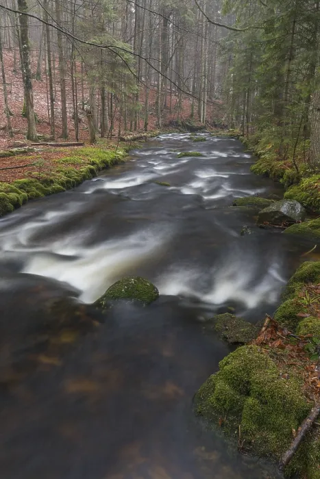 Framed Print : Kleine Ohe creek below Waldhaeuser village in the Bavarian Forest Nationalpark