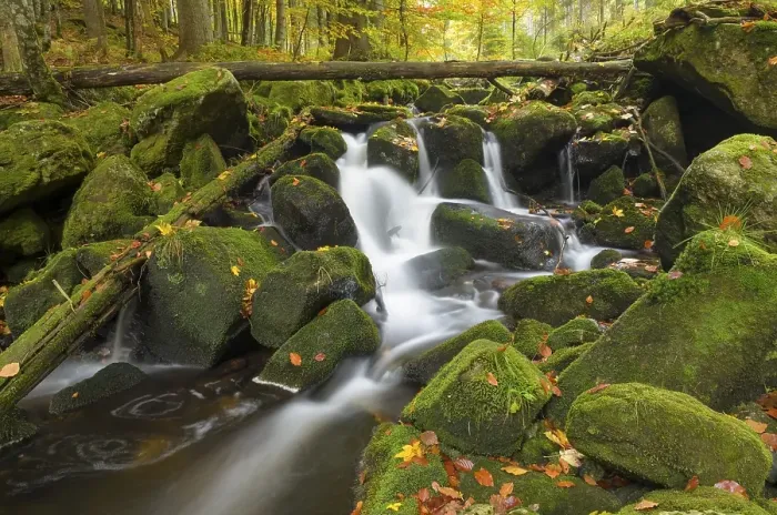 Framed Print : Kleine Ohe, a stream flowing between moss-covered rocks