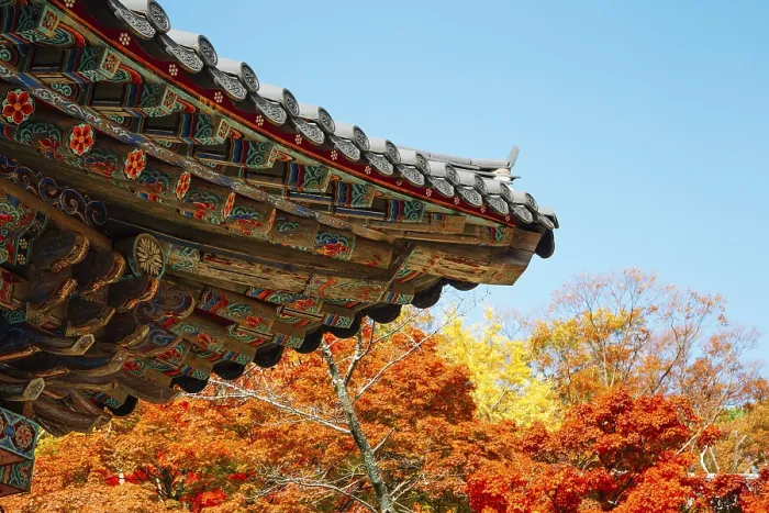 Framed Print : Korean traditional roof eaves with autumn leaves at Bulguksa temple in Gyeongju