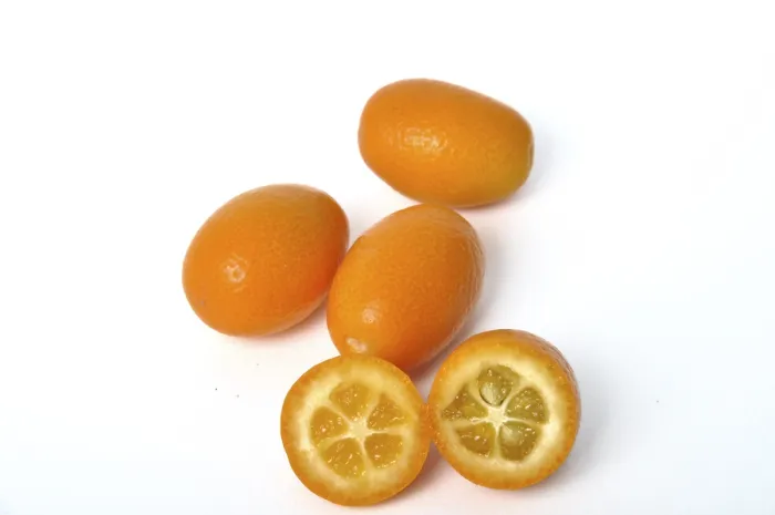 Framed Print : Kumquat on a white background