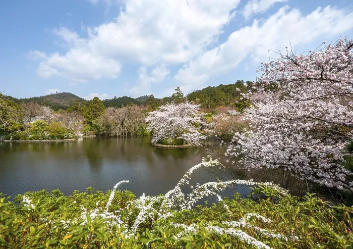 Framed Print : Kyoyochi pond in the Japanese garden