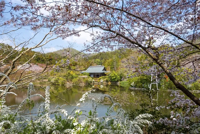 Framed Print : Kyoyochi pond in the Japanese garden Framed Print : Kyoyochi pond in the Japanese garden