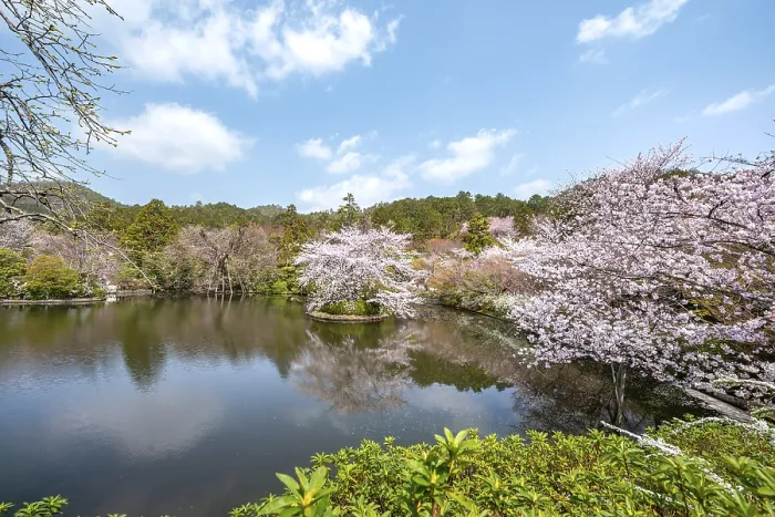 Framed Print : Kyoyochi pond in the Japanese garden Framed Print : Kyoyochi pond in the Japanese garden
