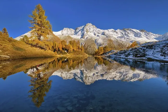 Framed Print : Lac Bleu with autumn coloured larch Framed Print : Lac Bleu with autumn coloured larch