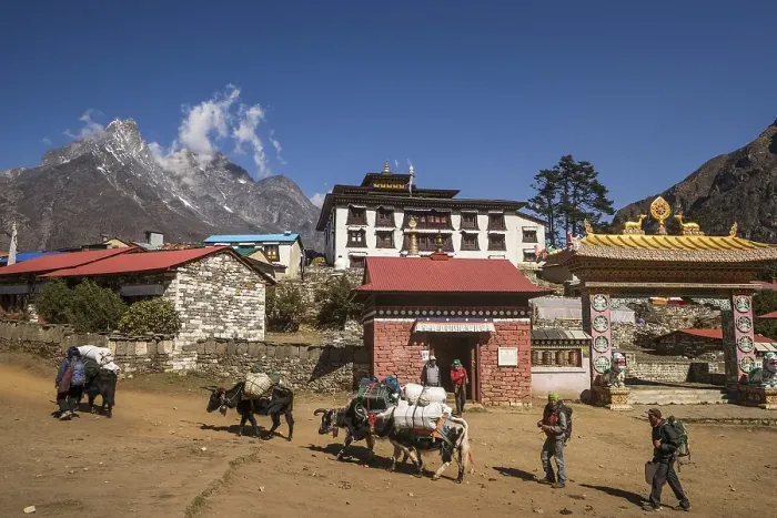 Framed Print : Laden yaks and Sherpas in front of the Tengboche Monastery