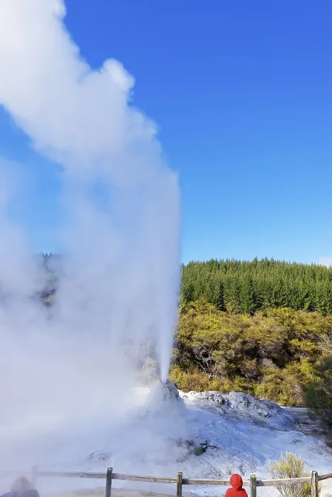 Framed Print : Lady Knox Geyser erupting, Waiotapu Thermal Park